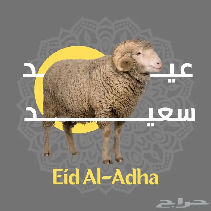 تصميم بوستات صور للأنستقرام 6