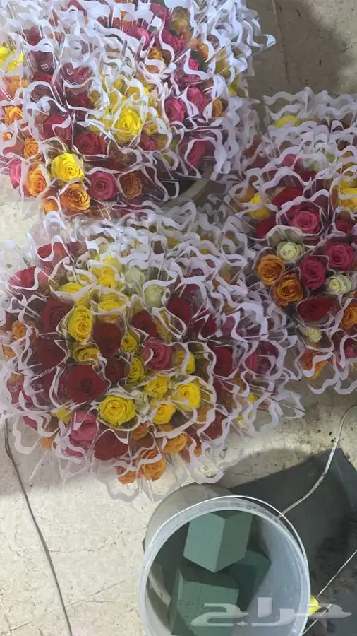 ورود مغلفه تواصل واتس 3