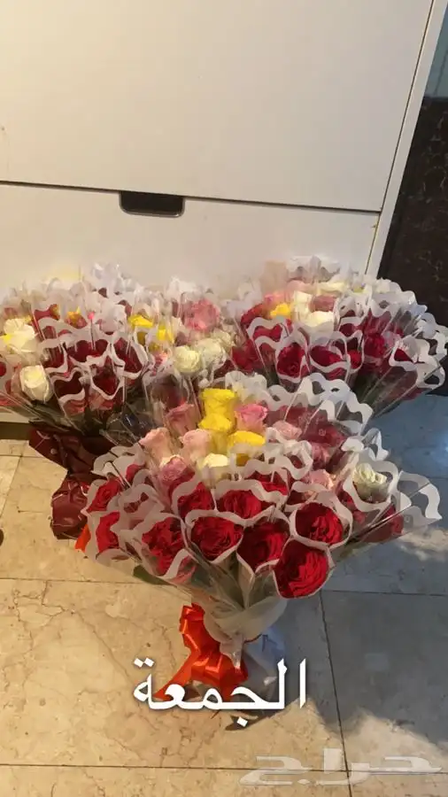 ورود مغلفه تواصل واتس 1