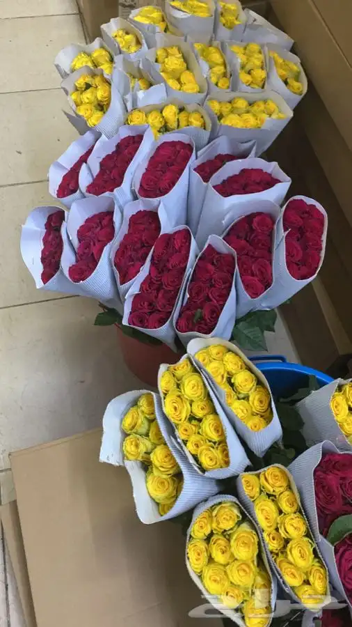 ورد بالجمله تواصل واتس 4