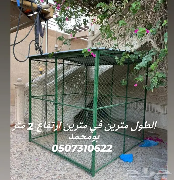 فيشر روز كناري قفص تفصيل الدمام قط كلب ببغاء 25