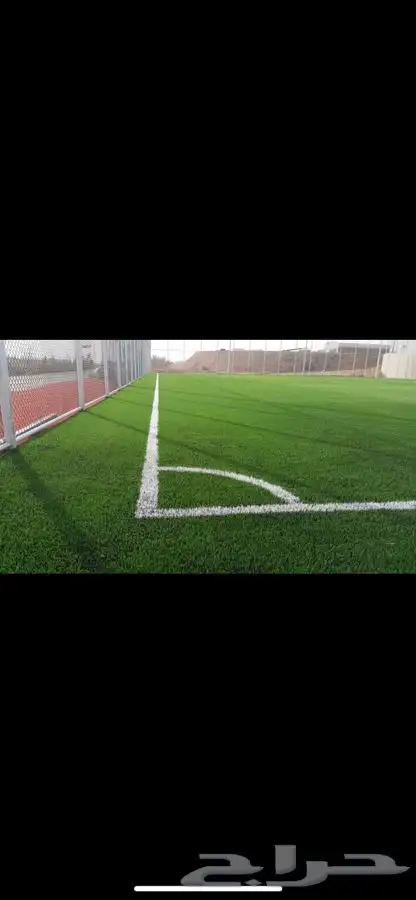 ملاعب انجيلة 1