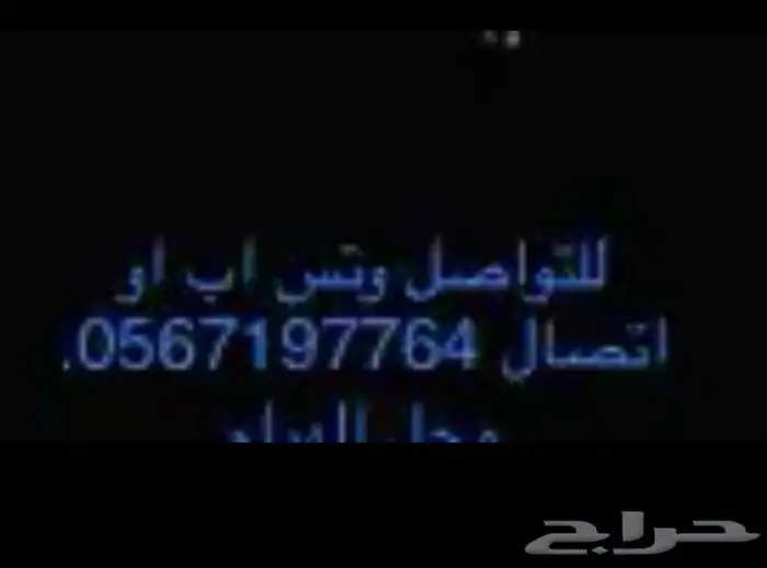 عود تعليمي نصر لوكس 2
