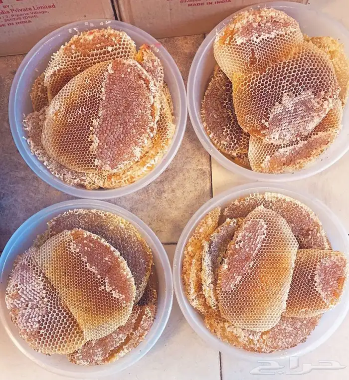 عسل السدره الجبلي وعسل سمر وعسل متزوجين طلحه عسل ذمه وامانه 4