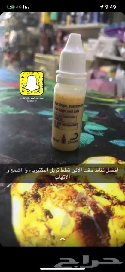 فندقه قطط عنايه بيع قطط طيور سلااحف اسماك هامستر مستلزمات 33