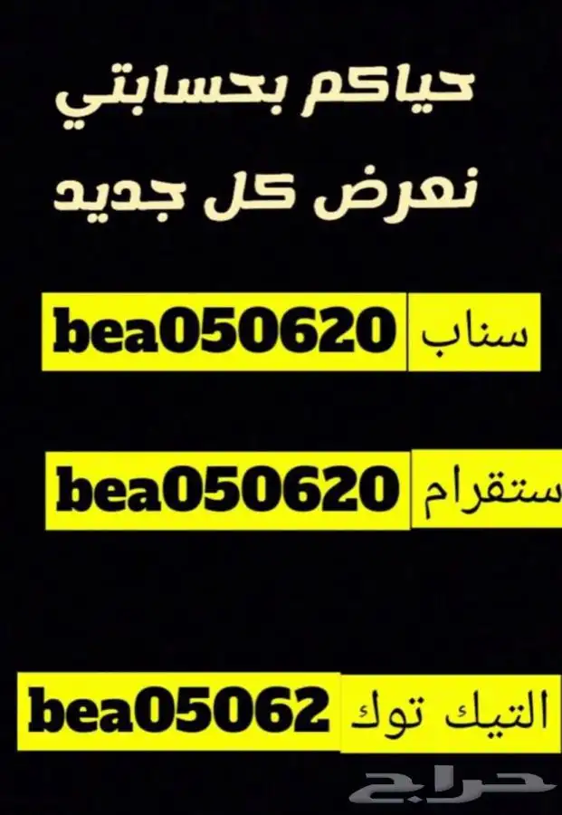 فندقه قطط عنايه بيع قطط طيور سلااحف اسماك هامستر مستلزمات 44