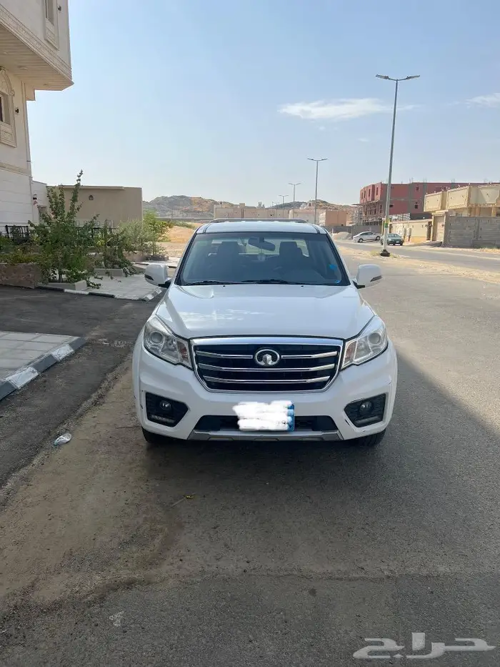 ونيت جريت وول ونجل 6 ( تم البيع ) 2
