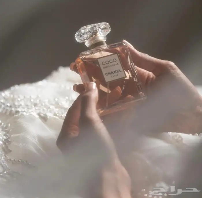 مصورة اعراس 6