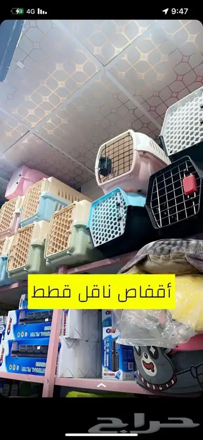 فندقة الحيونات قطط طيور عنايه كامله بيع الحيونات وا مستلزما 12