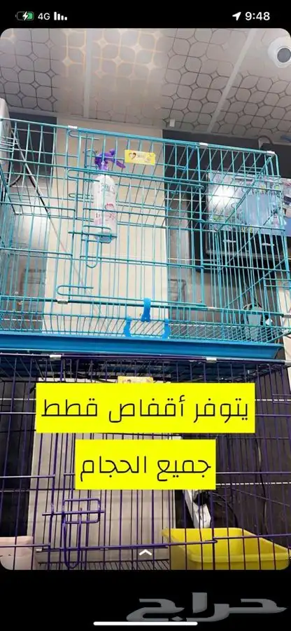 فندقة الحيونات قطط طيور عنايه كامله بيع الحيونات وا مستلزما 13