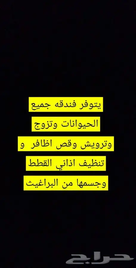 فندقة الحيونات قطط طيور عنايه كامله بيع الحيونات وا مستلزما 11