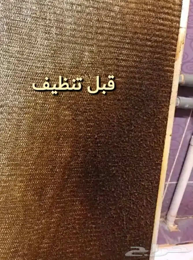 منظف لوجيك 1