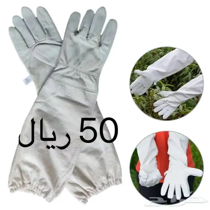 رداء النحال  8