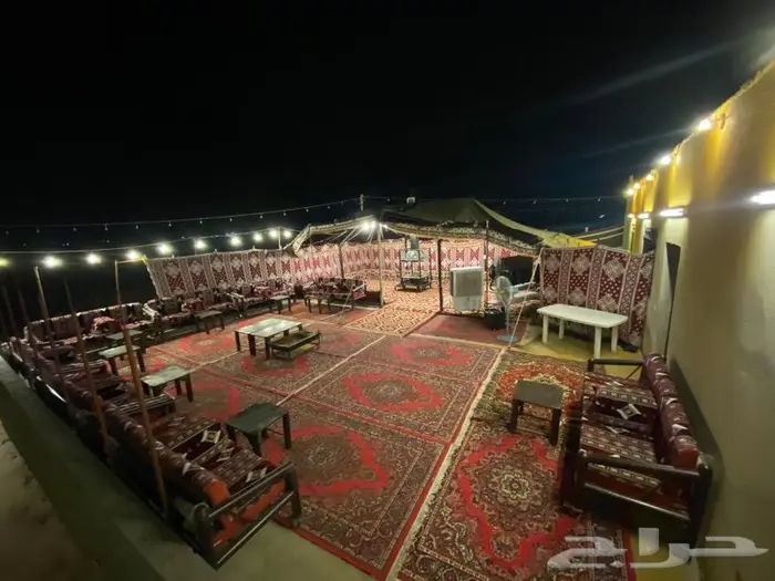 استراحة ومخيمات زهرة الطايف 88