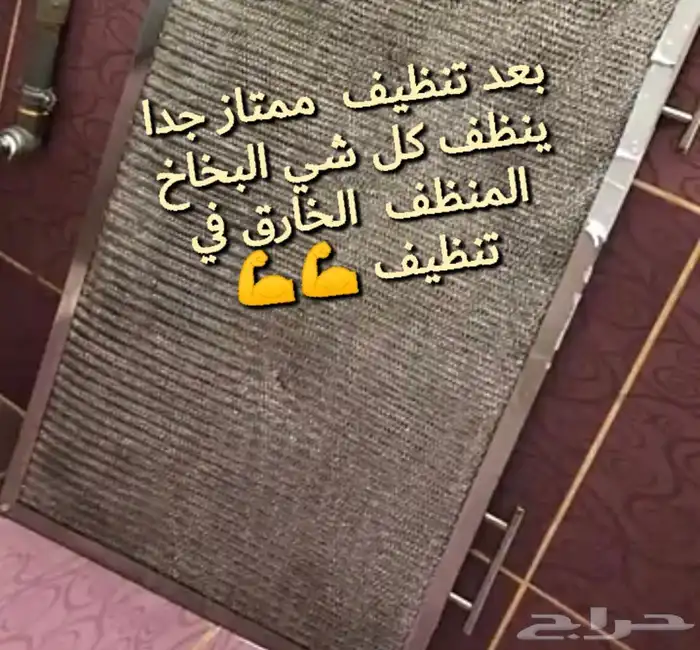 منظف لوجيك 2