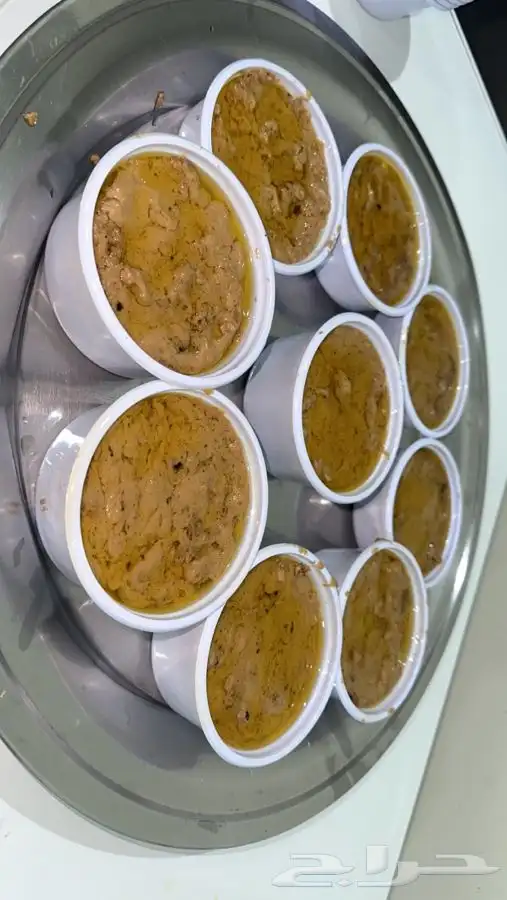 قشدة خلاصه فصله غنم وبقر في بيشة 2