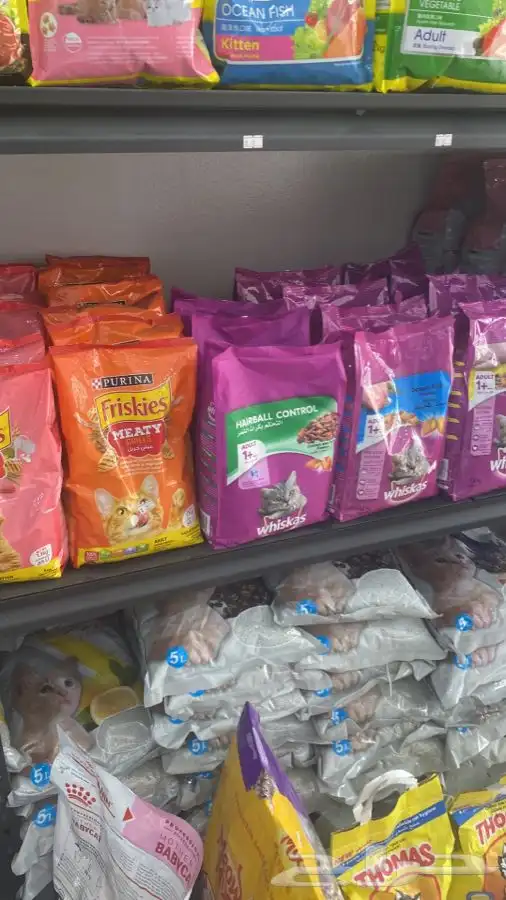 محل قطط الجنوب يتوفر جميع انواع الحيونات ومستلزماتها 7