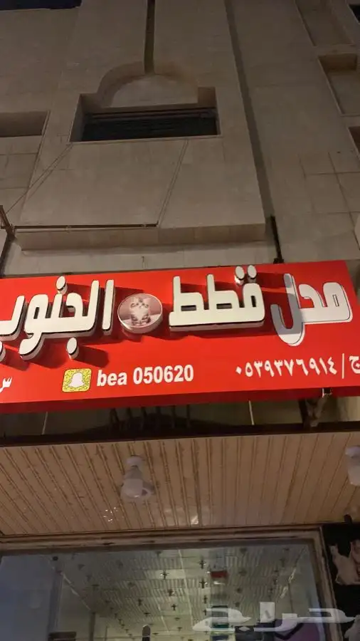 محل قطط الجنوب يتوفر جميع انواع الحيونات ومستلزماتها 1