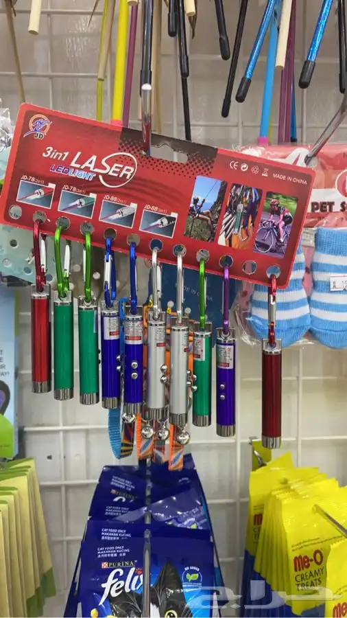 محل قطط الجنوب يتوفر جميع انواع الحيونات ومستلزماتها 11
