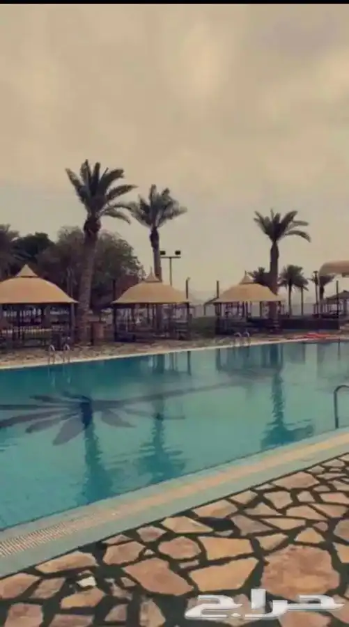 شاليه خاص للإيجار على البحر 3