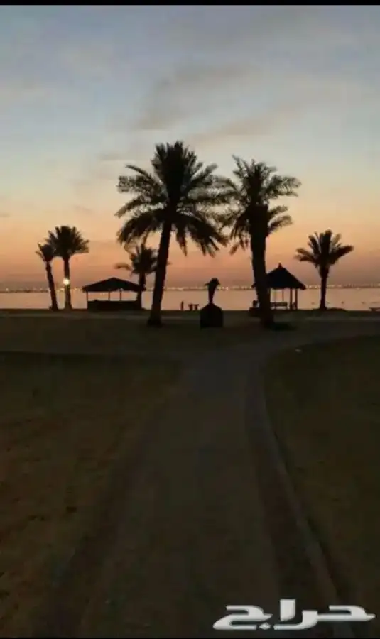 شاليه خاص للإيجار على البحر 5