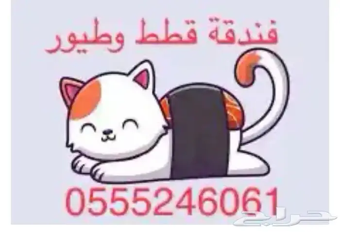 فندقه قطط قطط - طيور طيور - 61 60 24 0555 1