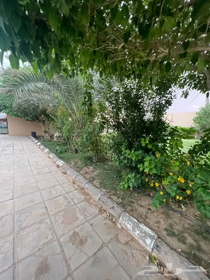 استراحة مزرعه العفجه الرحمانيه الخرج الهياثم الرياض 0