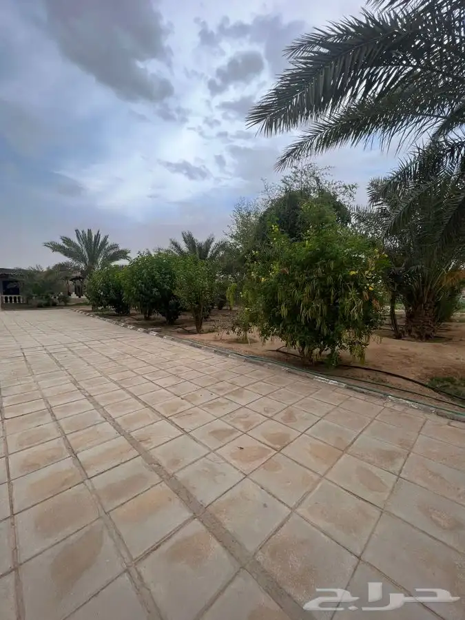استراحة مزرعه العفجه الرحمانيه الخرج الهياثم الرياض 12