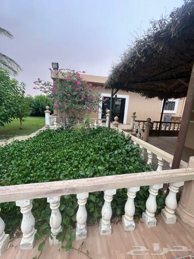 استراحة مزرعه العفجه الرحمانيه الخرج الهياثم الرياض 10