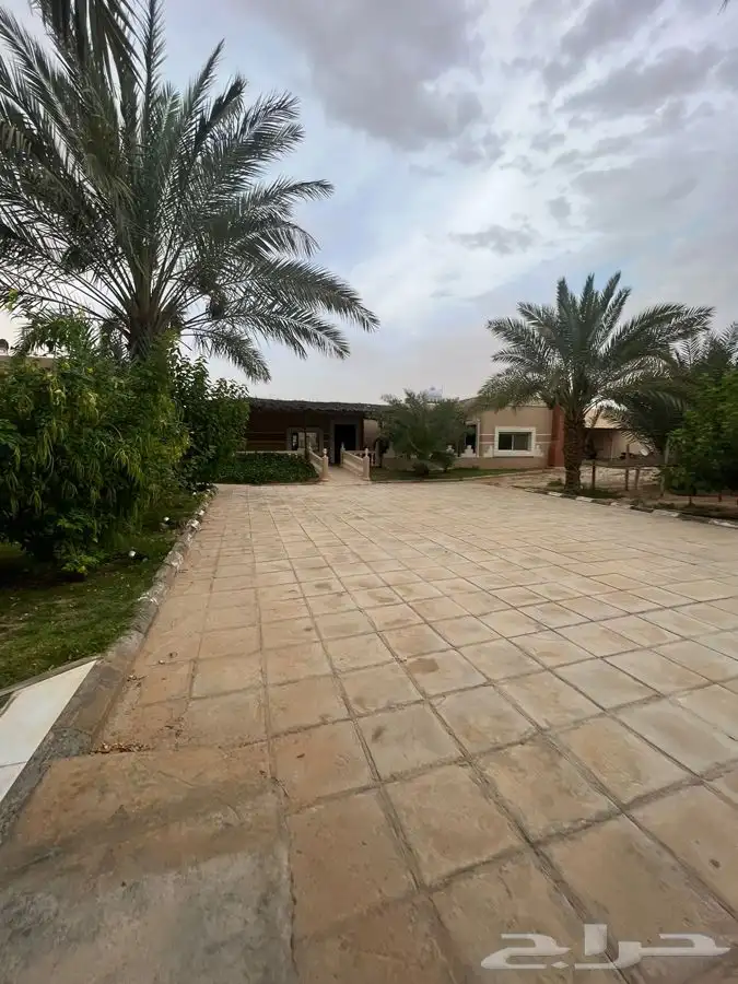 استراحة مزرعه العفجه الرحمانيه الخرج الهياثم الرياض 6