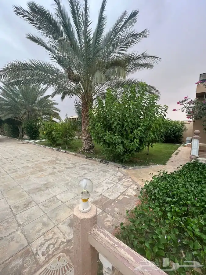 استراحة مزرعه العفجه الرحمانيه الخرج الهياثم الرياض 7