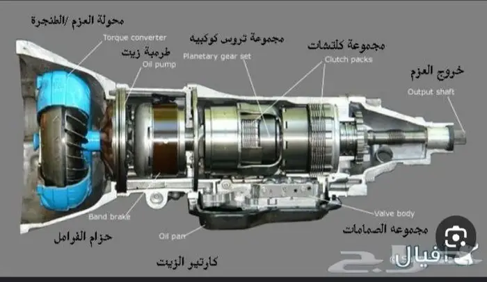 قيرات مستورده صناعيه محايل عسير 4