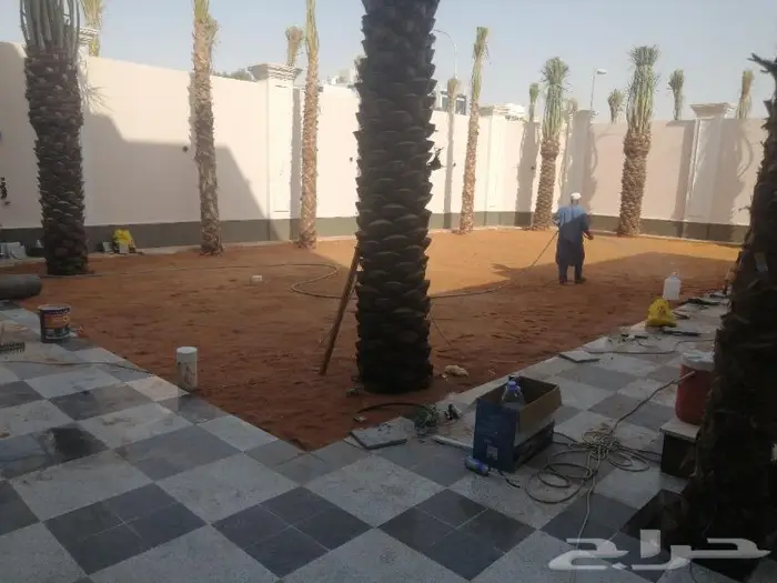 تكريب النخيل 13