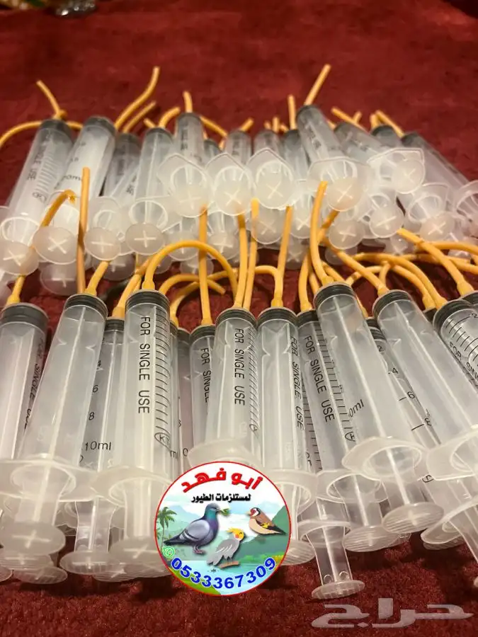 لي غر مطاط 2