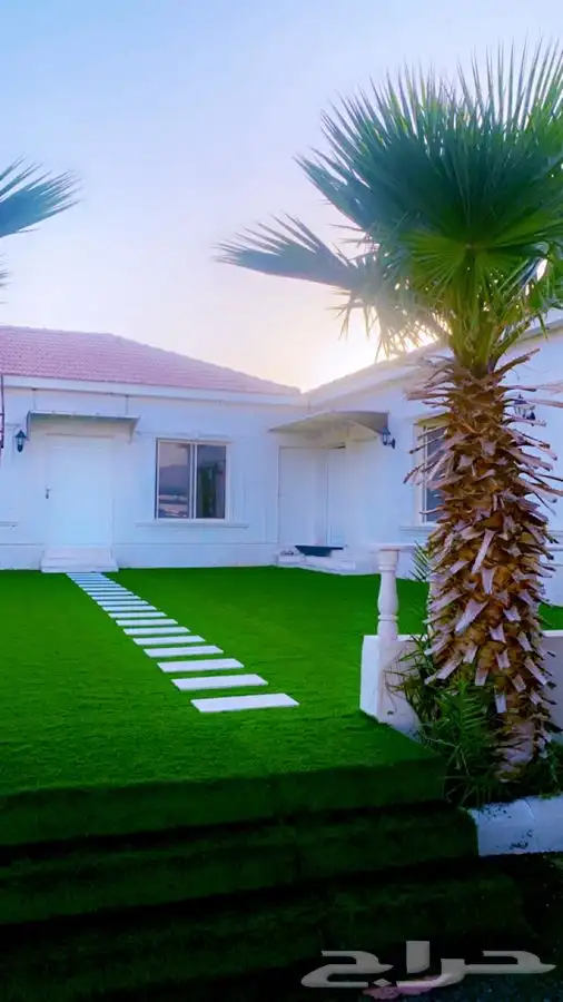 قراميد المتر ب 100 ريال 14