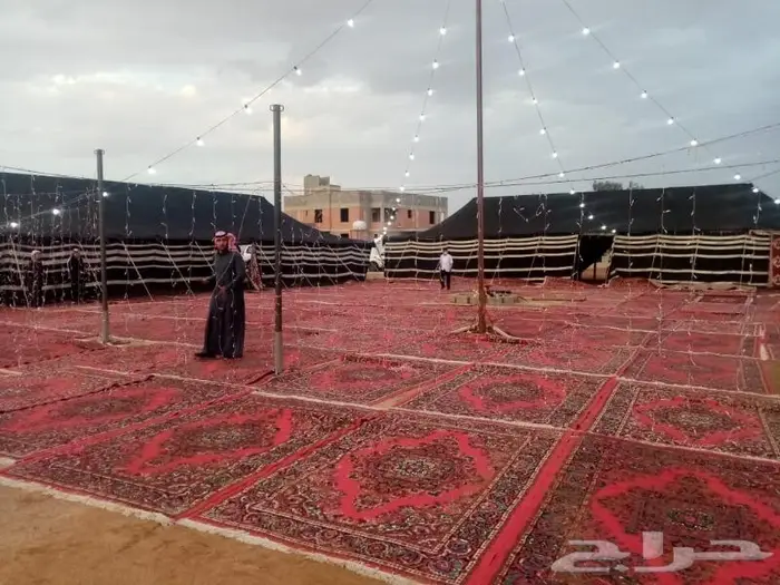 كراسي ملكيه مخيمات عربات قهوه للايجار 1