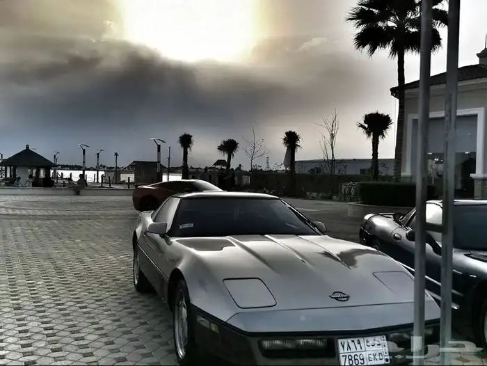 كورفيت 1986 مخزن (تم البيع) 42