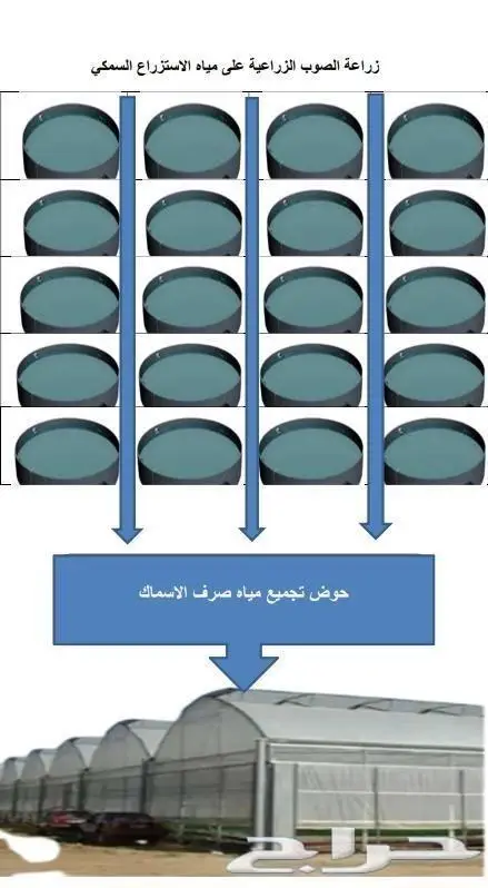 المزارع السمكيه 2