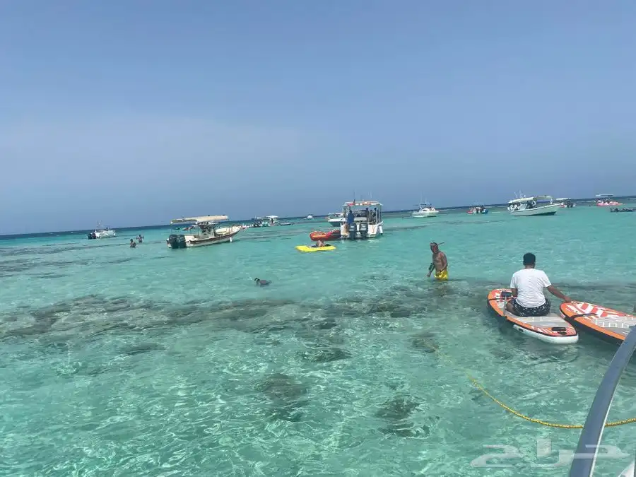 رحلة بياضة ابو طير 11