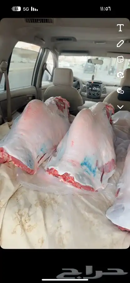 حواشي زواجات مع الطبخ فقارات ( تجهيز قعدان مع الطبخ والاشرا 0