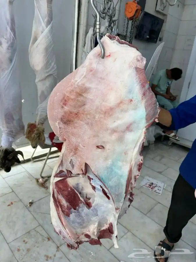 حواشي زواجات مع الطبخ فقارات ( تجهيز قعدان مع الطبخ والاشرا 1