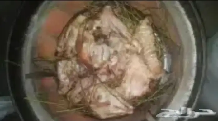 تنور خبز غاز تنور لحم مندي حطب تنور خبز تيفال تنور ملوح 15