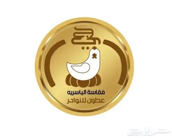 مطلوب وكلاء لفقاسات الياسريه 6
