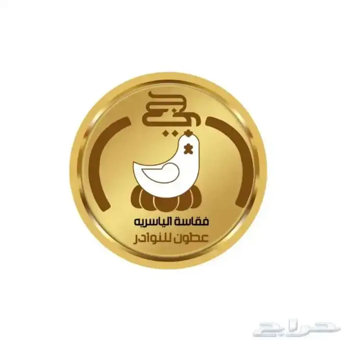 مطلوب وكلاء لفقاسات الياسريه 16