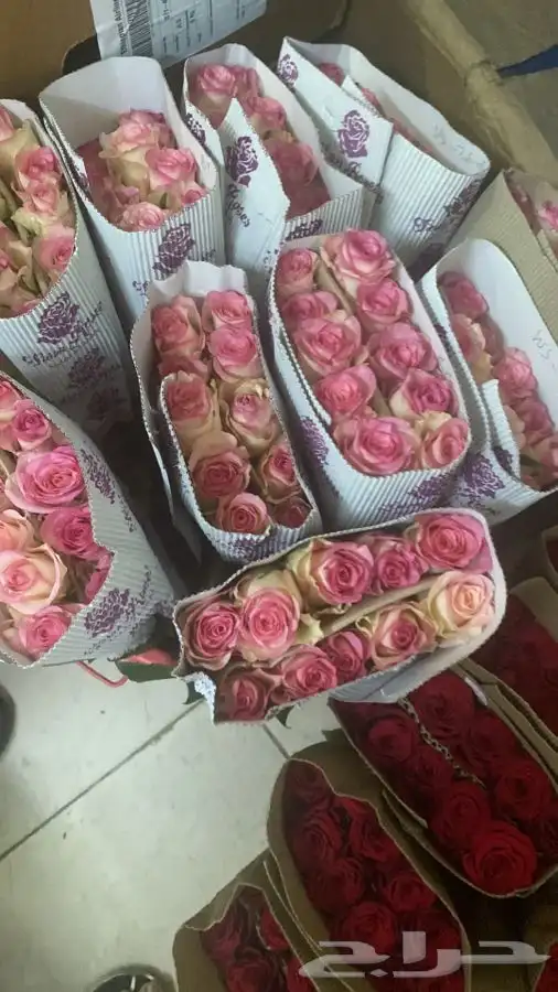 ورد بالجمله تواصل واتس 6
