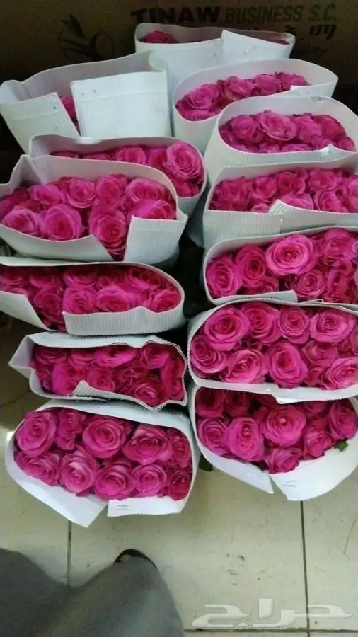 ورد بالجمله تواصل واتس 7