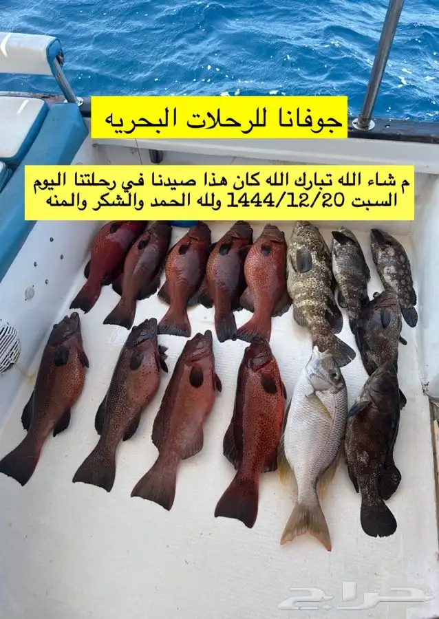 رحلة صيد اليوم ( فرديه ) 1