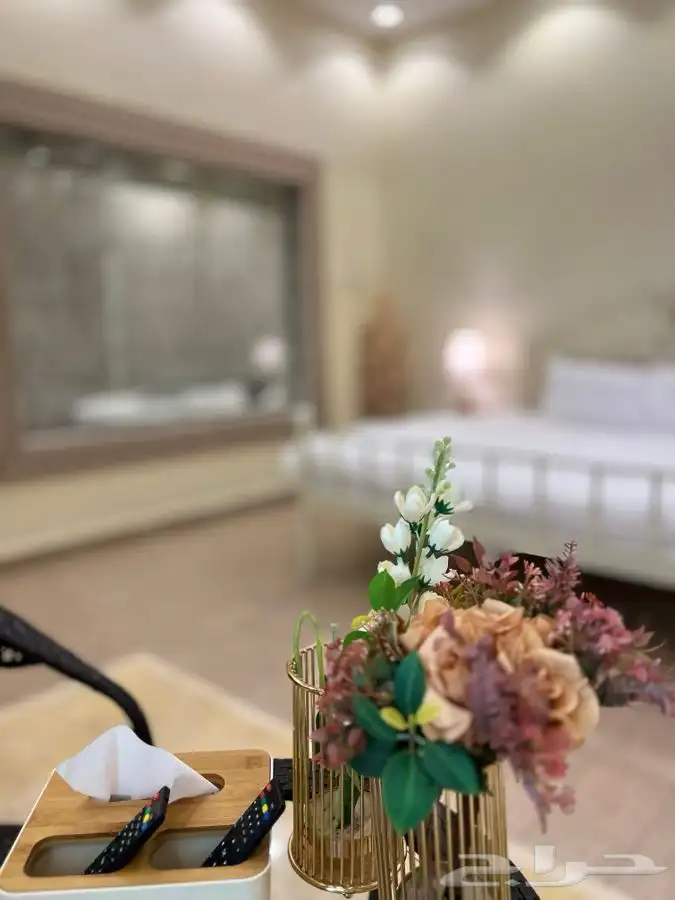 شاليه القريات الشمال الرديفه جماجم الناصفةمسابح وخيول مجانيه 28