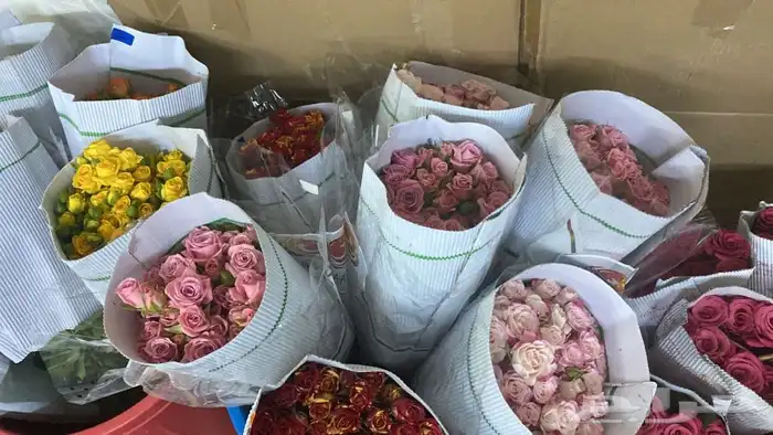 ورد بالجمله تواصل واتس 9