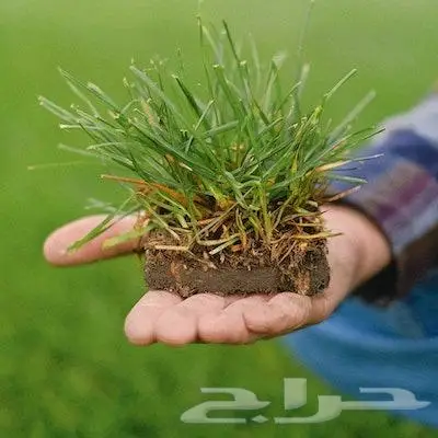 تنسيق حدائق الاندسكيب وشبكات الري 11